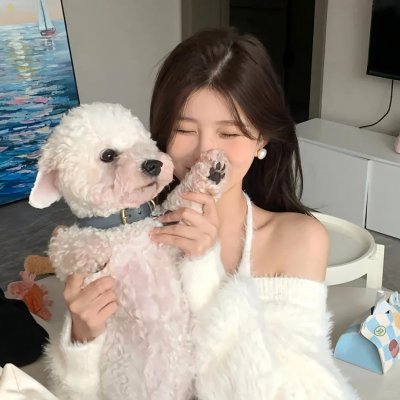 豹头王传说