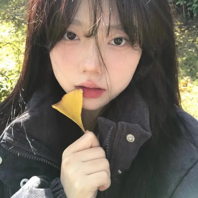 绝代双骄电影版